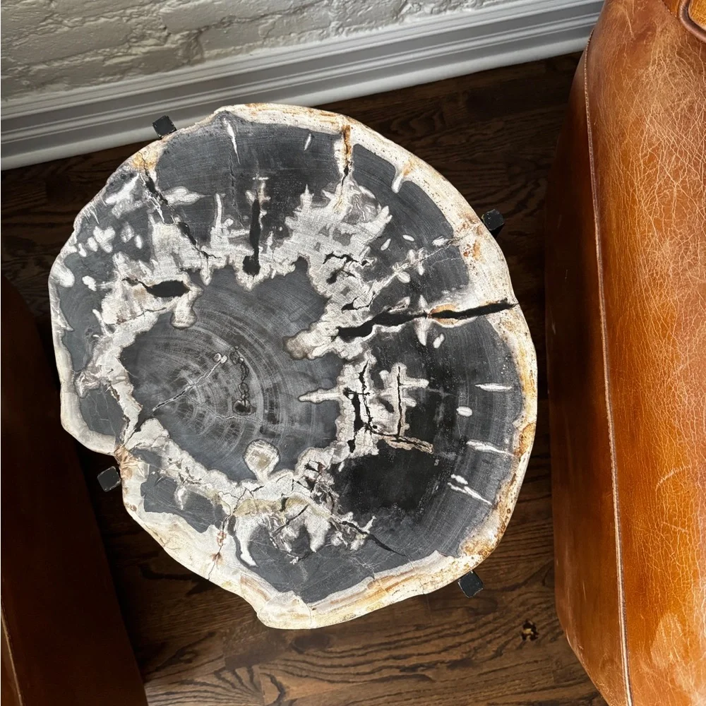 Black and Brown Petrified Wood Side Table - Picture 2 of 4